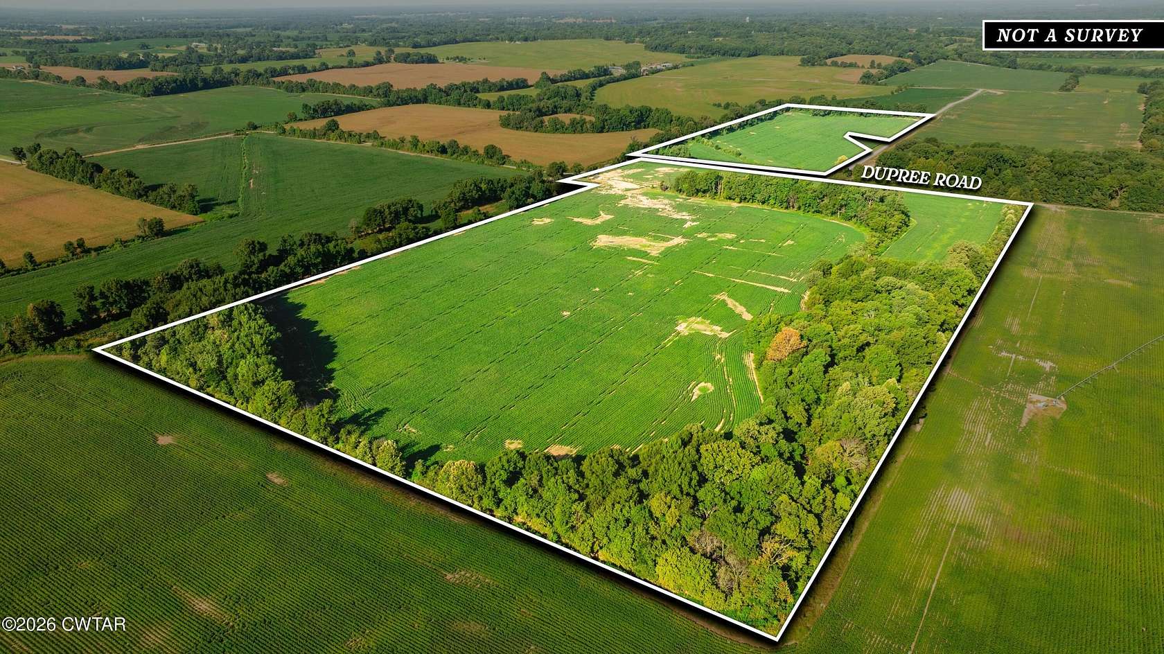 73.5 Acres of Agricultural Land for Auction in Friendship, Tennessee