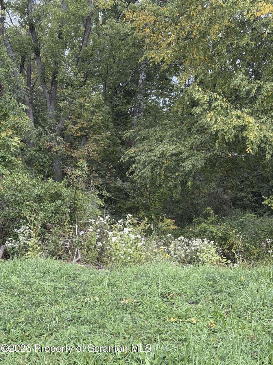 3.1 Acres of Residential Land for Sale in Meshoppen, Pennsylvania