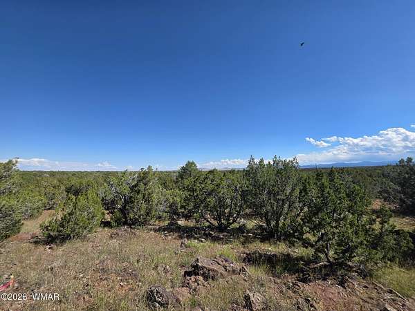 2.52 Acres of Residential Land for Sale in Vernon, Arizona
