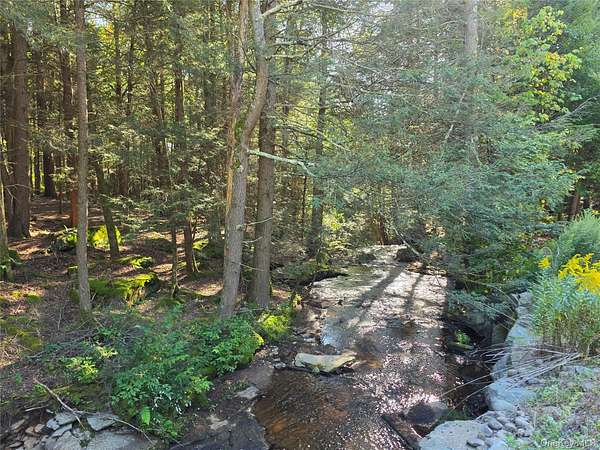 365 Acres of Recreational & Residential Land for Sale in Parksville, New York