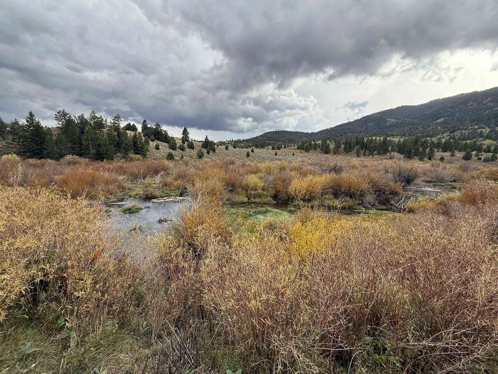 2.75 Acres of Land for Sale in Bancroft, Idaho