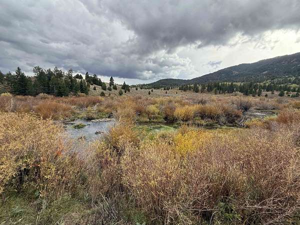 2.75 Acres of Land for Sale in Bancroft, Idaho