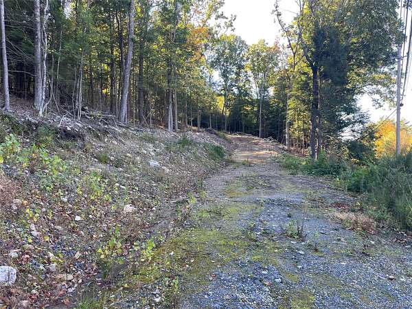 2.48 Acres of Residential Land for Sale in Wurtsboro, New York