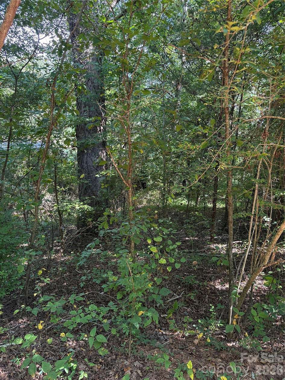 1 Acre of Residential Land for Sale in Ellenboro, North Carolina