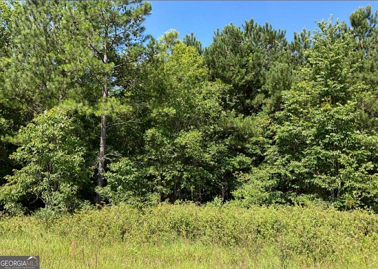 3.2 Acres of Residential Land for Sale in Hawkinsville, Georgia