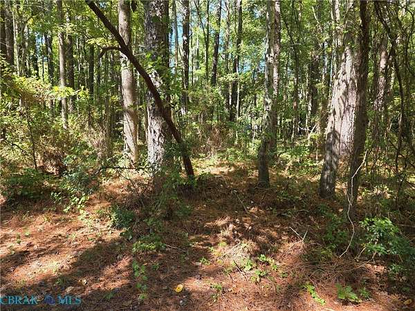 0.46 Acres of Commercial Land for Sale in Hayes, Virginia
