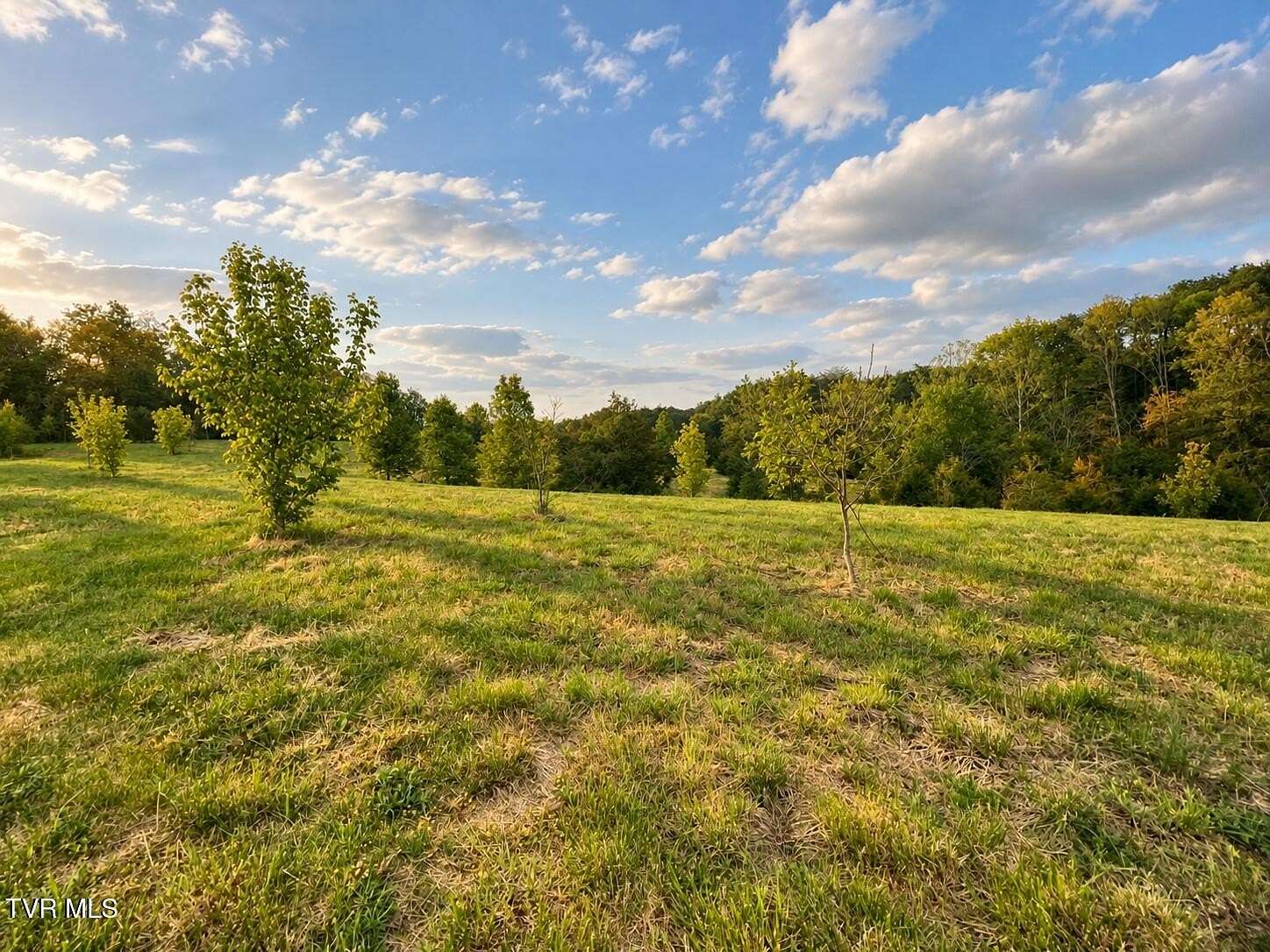 89.7 Acres of Land for Sale in Mosheim, Tennessee