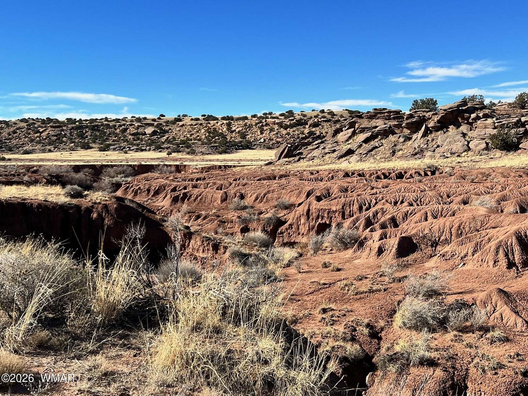 42.2 Acres of Recreational & Residential Land for Sale in Concho, Arizona