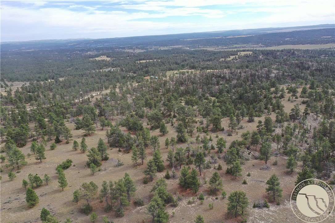 38.3 Acres of Recreational Land for Sale in Roundup, Montana