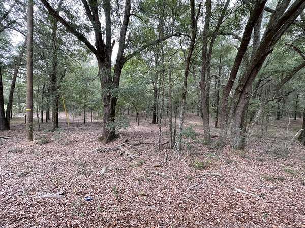 15.7 Acres of Land for Sale in Salley, South Carolina