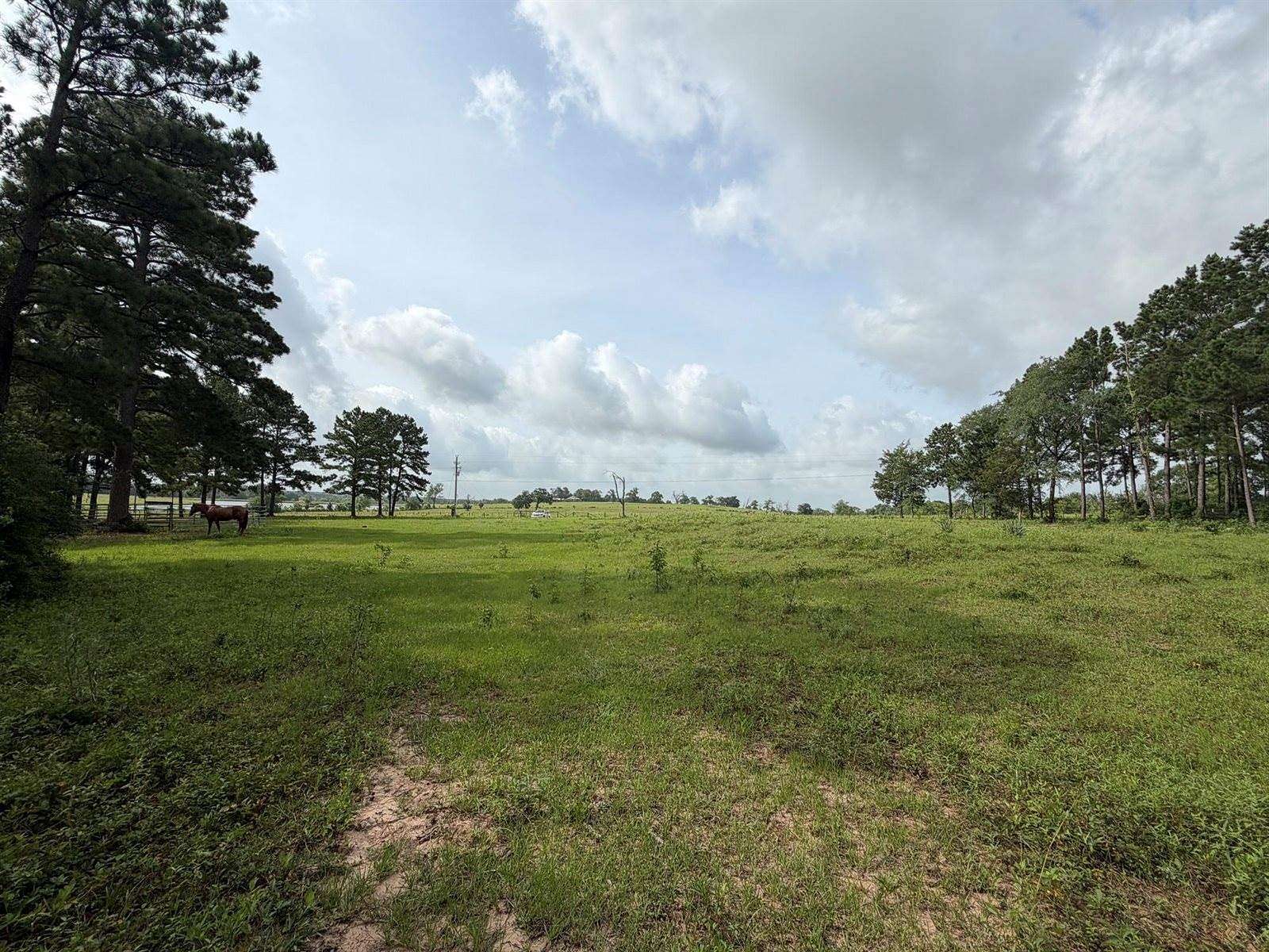 10 Acres of Recreational & Residential Land for Sale in Anderson, Texas