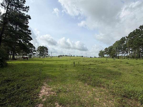 10 Acres of Recreational & Residential Land for Sale in Anderson, Texas