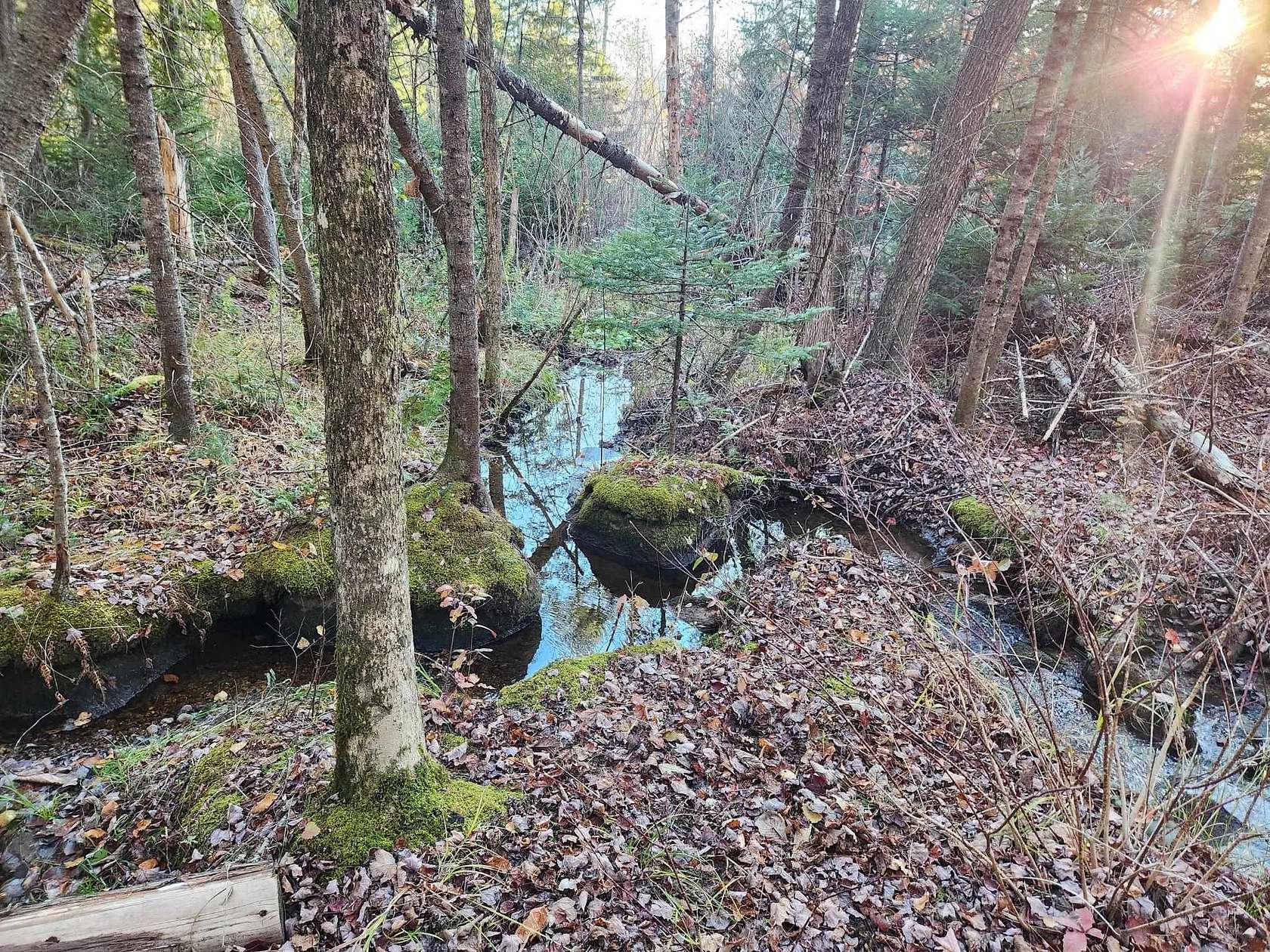 5.7 Acres of Land for Sale in Milan, New Hampshire