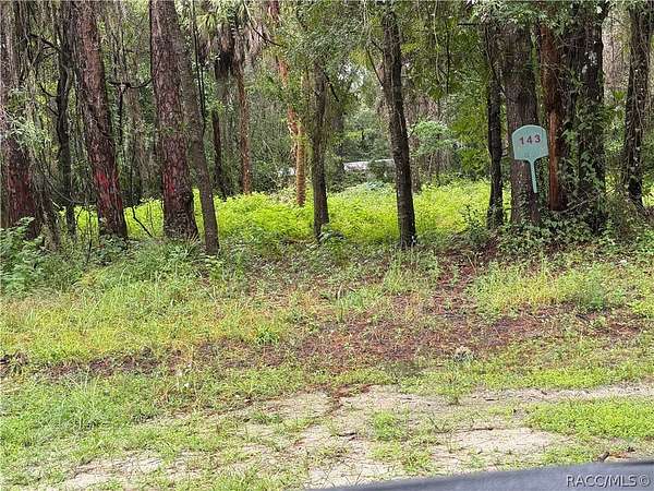 0.38 Acres of Residential Land for Sale in Inglis, Florida