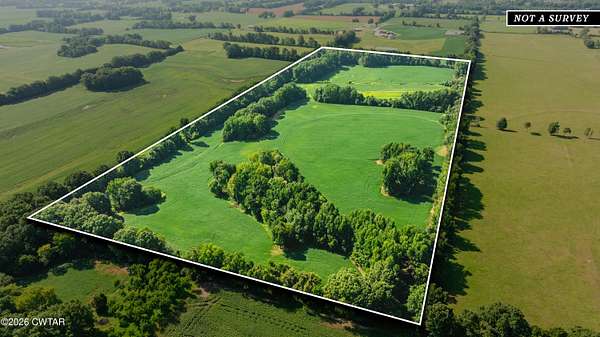 50 Acres of Agricultural Land for Auction in Alamo, Tennessee