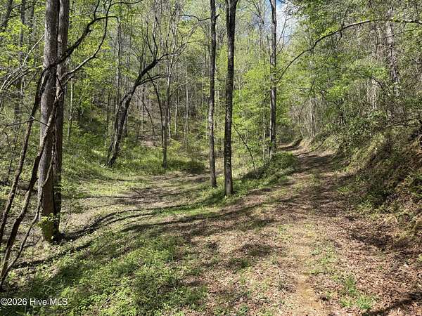 18 Acres of Land for Sale in Marble, North Carolina