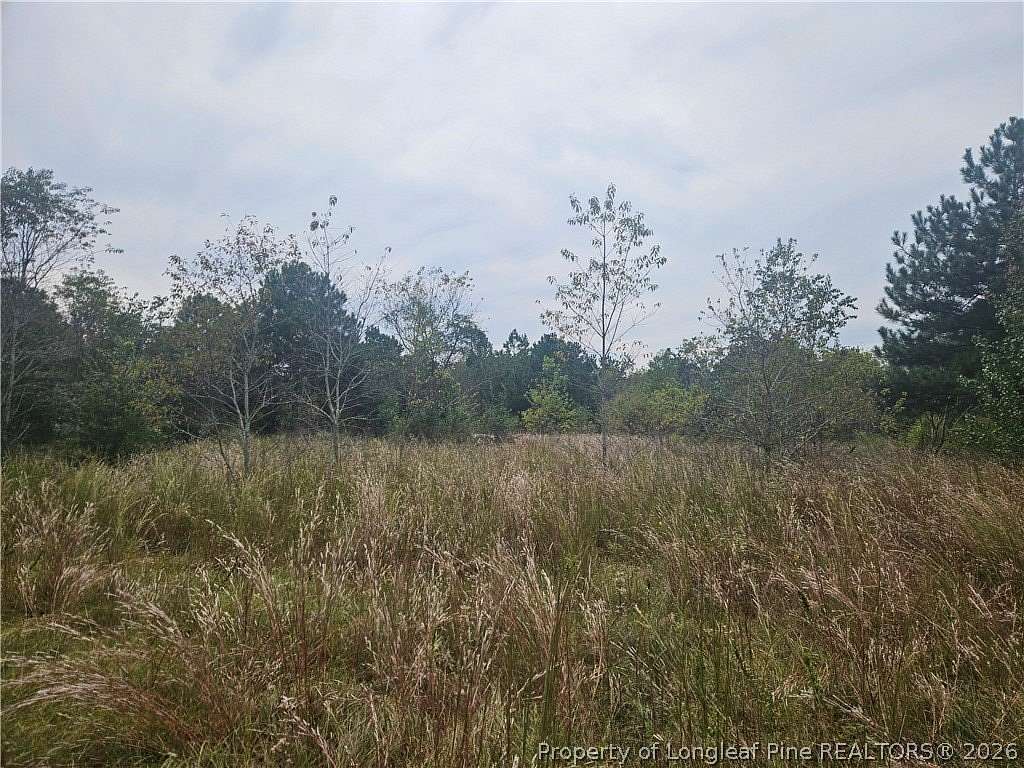 37 Acres of Recreational & Residential Land for Sale in Shannon, North Carolina