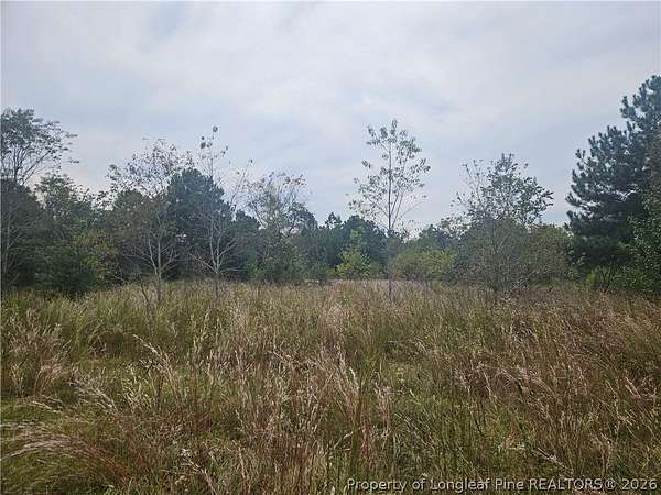 37 Acres of Recreational & Residential Land for Sale in Shannon, North Carolina