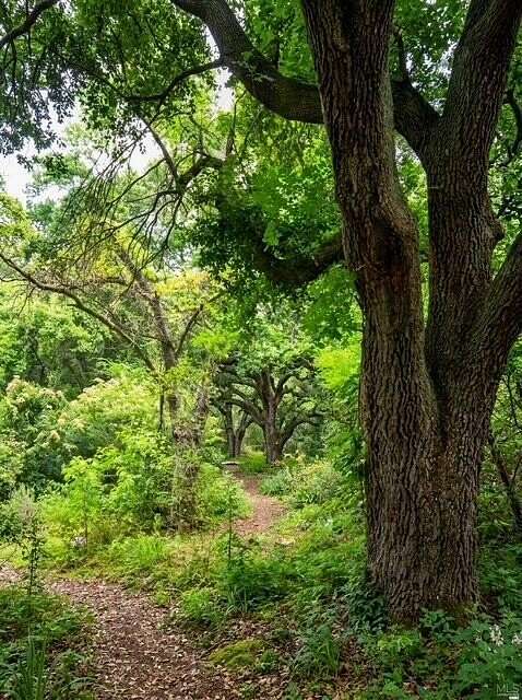 0.5 Acres of Land for Sale in Lumberton, Mississippi