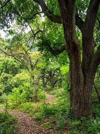 0.5 Acres of Land for Sale in Lumberton, Mississippi