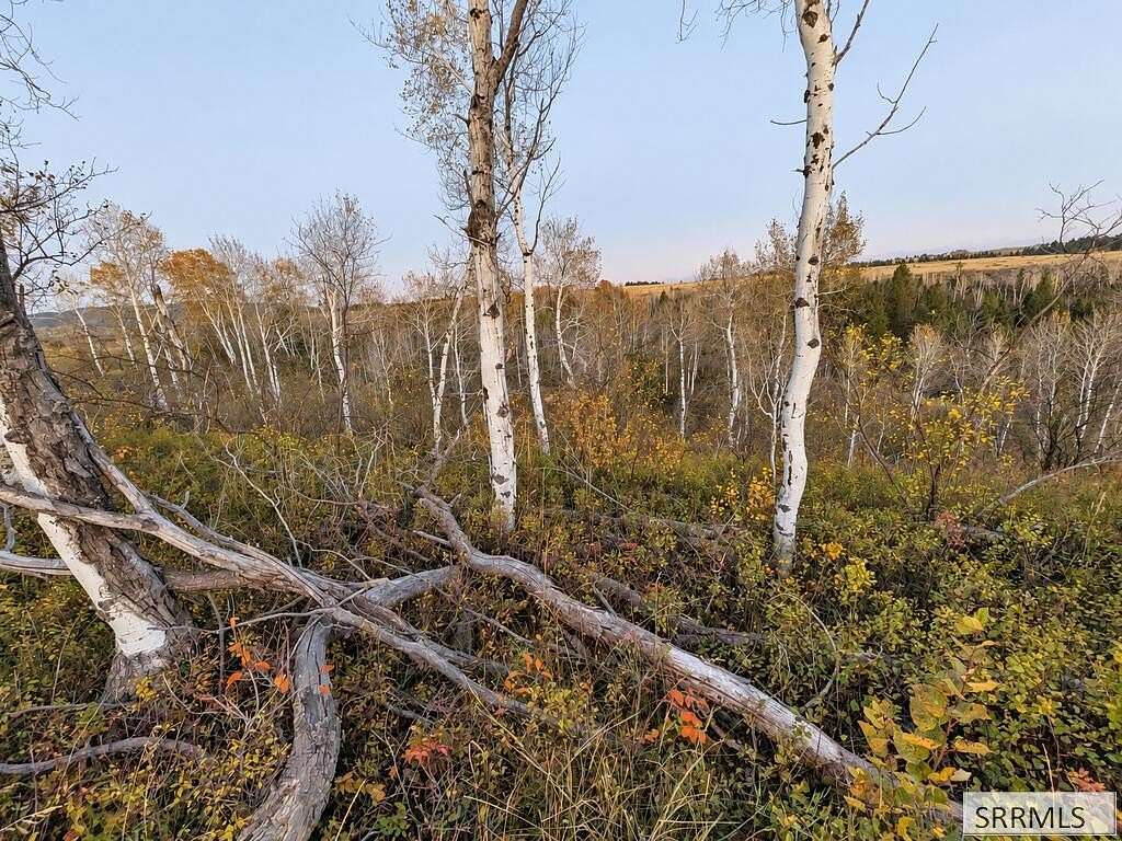 4.35 Acres of Land for Sale in Ashton, Idaho