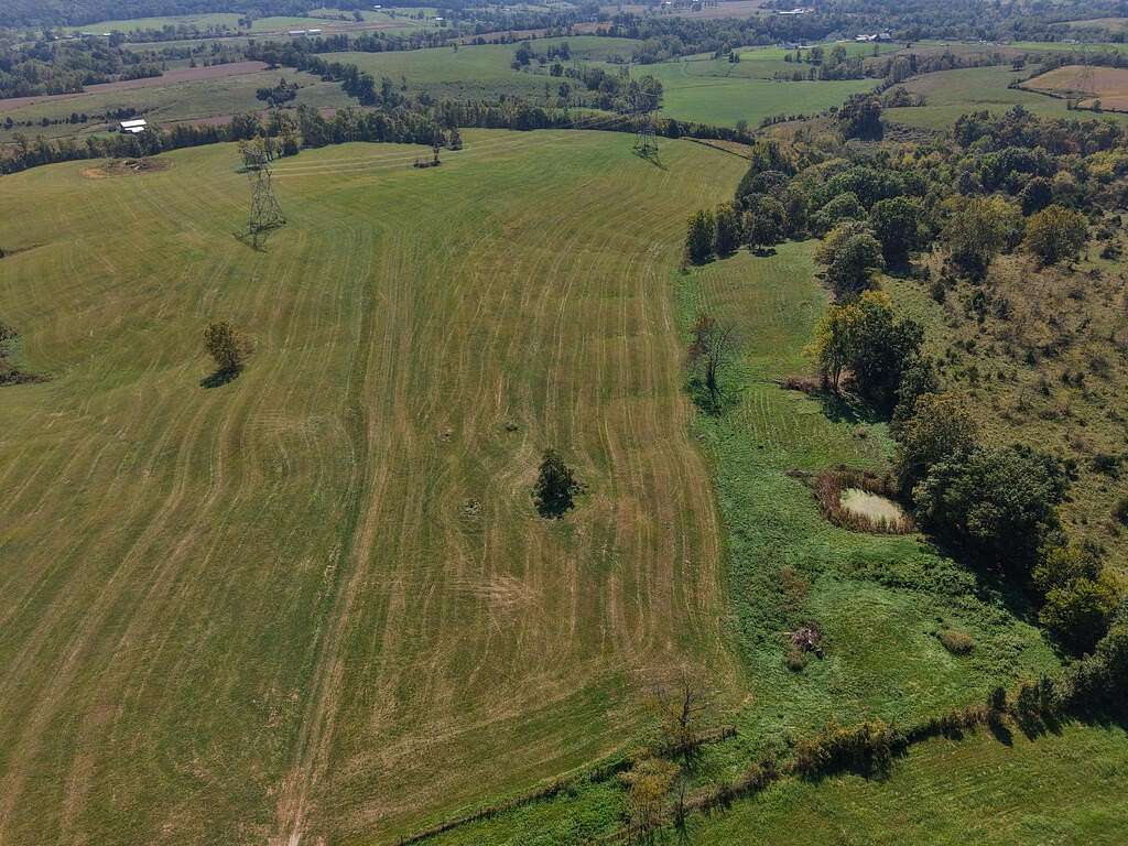 31.1 Acres of Land for Sale in Tollesboro, Kentucky