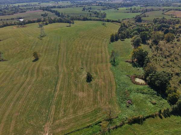 31.1 Acres of Land for Sale in Tollesboro, Kentucky
