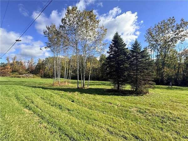 10 Acres of Residential Land for Sale in Lyons, New York