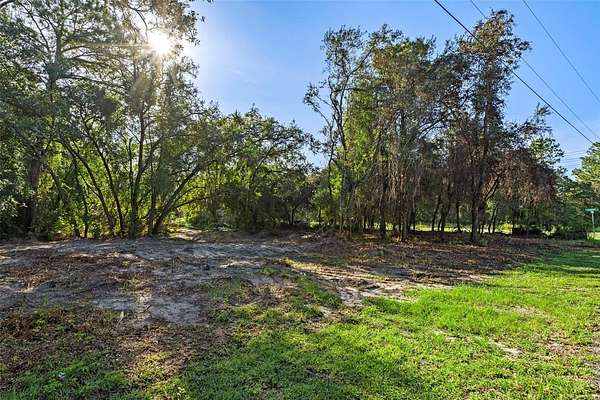0.26 Acres of Residential Land for Sale in Homosassa, Florida