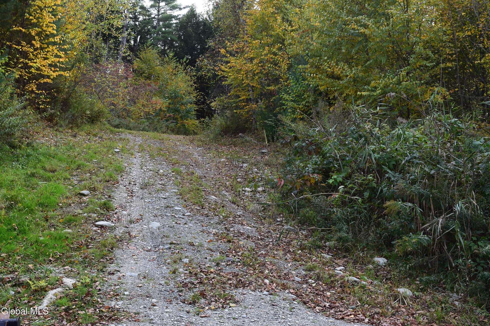 20.7 Acres of Recreational & Residential Land for Sale in Petersburgh Town, New York