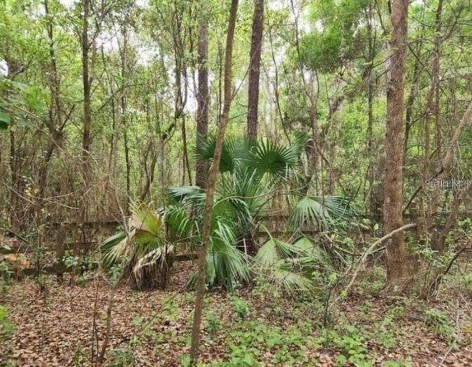 3 Acres of Land for Sale in Weirsdale, Florida