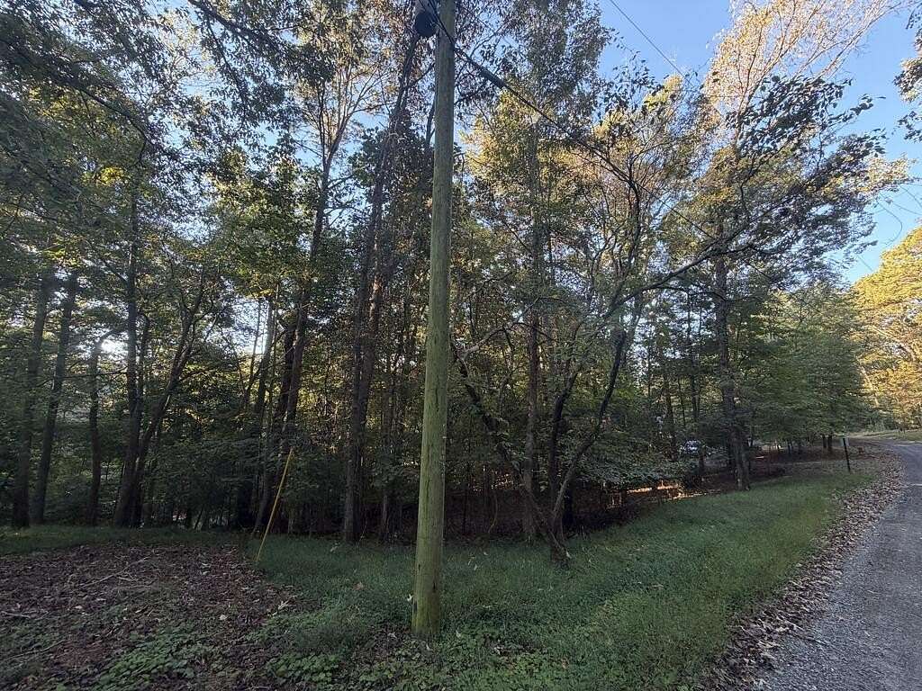 0.46 Acres of Land for Sale in Ellijay, Georgia