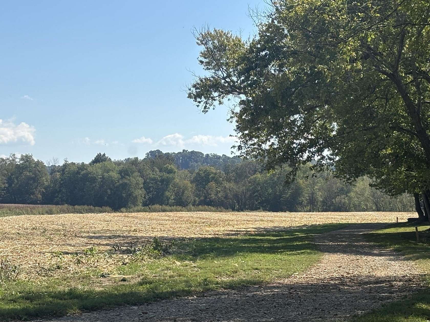 65 Acres of Land for Sale in Liberty, Kentucky