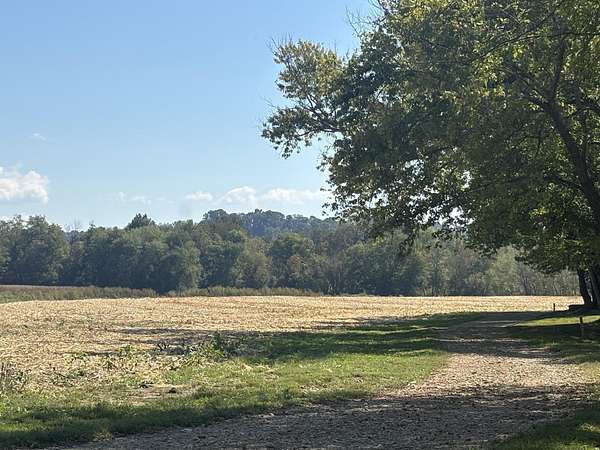 65 Acres of Land for Sale in Liberty, Kentucky