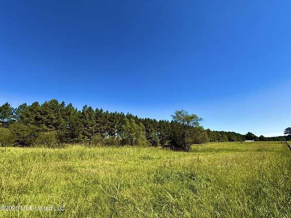 2.17 Acres of Residential Land for Sale in Morton, Mississippi