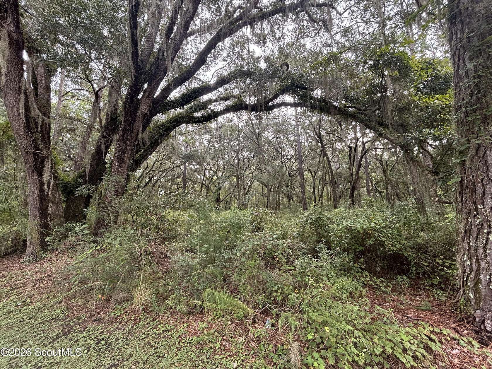 1.28 Acres of Residential Land for Sale in Darien, Georgia