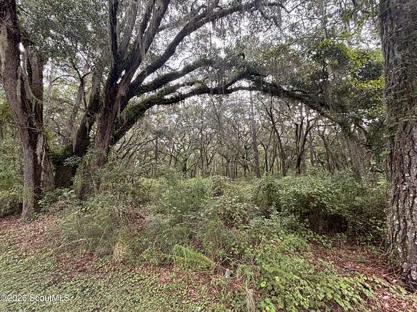 1.28 Acres of Residential Land for Sale in Darien, Georgia