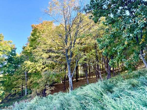 1 Acre of Residential Land for Sale in Franklin, New Jersey
