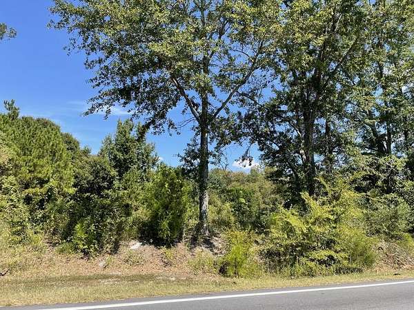 9 Acres of Commercial Land for Sale in Columbus, Georgia