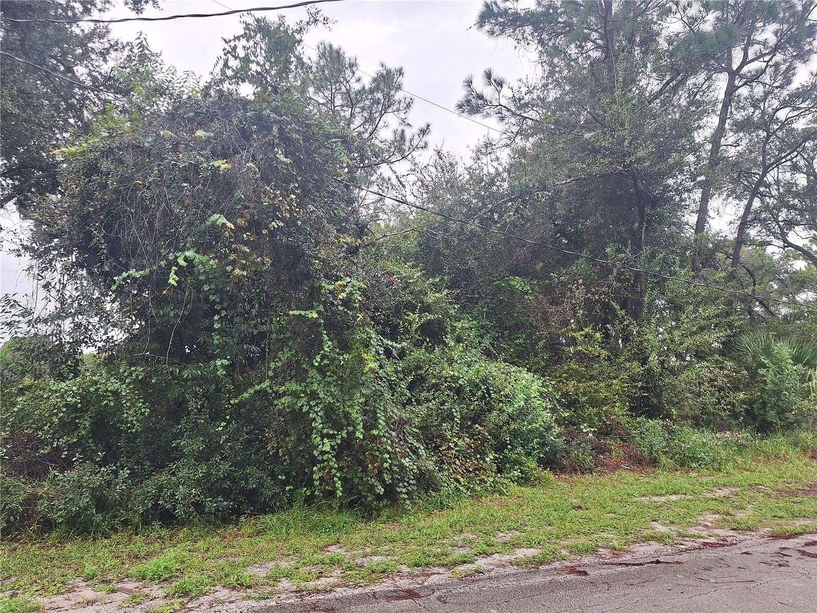 0.39 Acres of Residential Land for Sale in Deltona, Florida