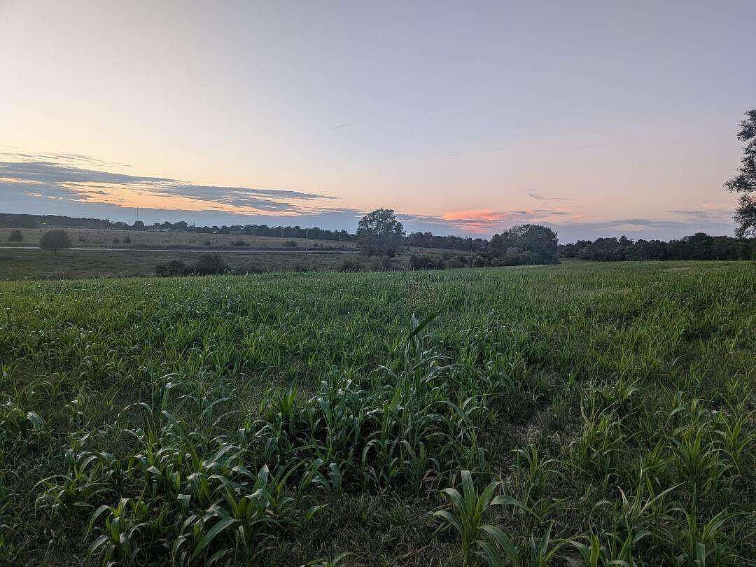 30.7 Acres of Agricultural Land for Sale in Republic, Missouri