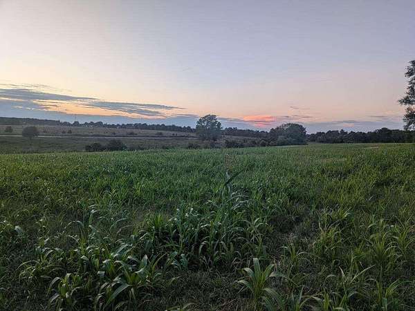 30.7 Acres of Agricultural Land for Sale in Republic, Missouri