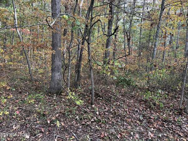 3.46 Acres of Land for Sale in Jamestown, Tennessee
