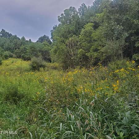 20.4 Acres of Land for Sale in Saltville, Virginia
