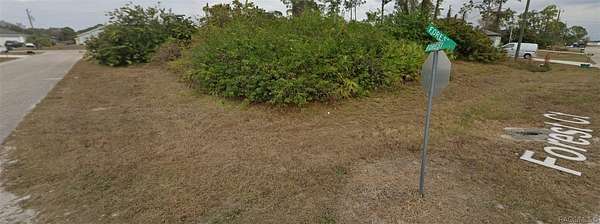 0.27 Acres of Residential Land for Sale in LaBelle, Florida