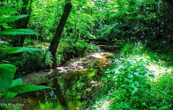 45.6 Acres of Recreational Land for Sale in Pikeville, Tennessee