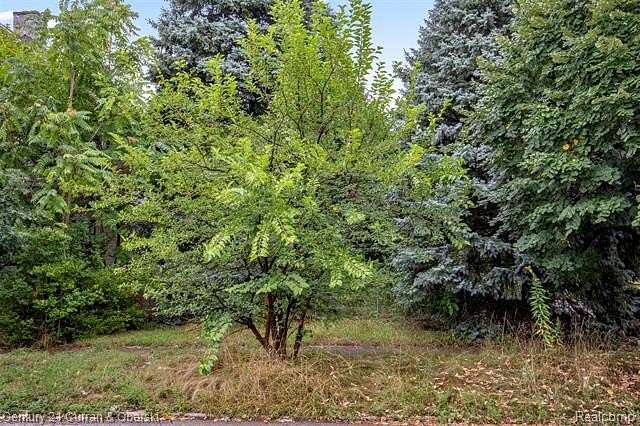 0.1 Acres of Residential Land for Sale in Detroit, Michigan