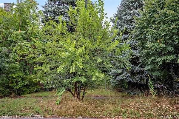 0.1 Acres of Residential Land for Sale in Detroit, Michigan