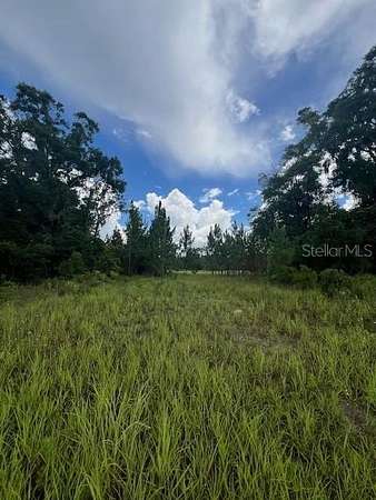 70 Acres of Land for Lease in High Springs, Florida