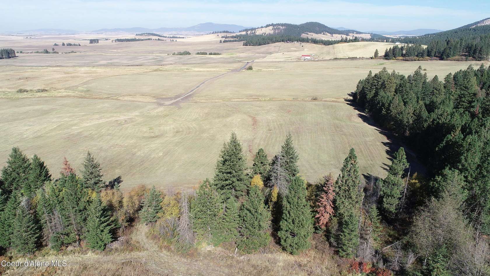 20 Acres of Recreational & Residential Land for Sale in Plummer, Idaho